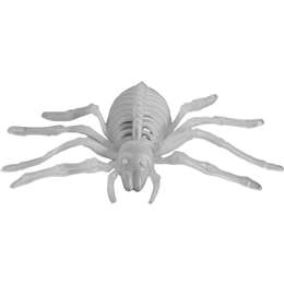 Mirabella Skeleton Spider Glow In The Dark Each