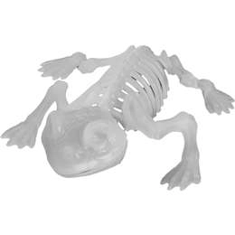 Mirabella Skeleton Frog Glow In The Dark  Each