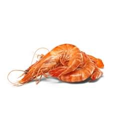  Fresh Cooked Tiger Prawns  Per Kg