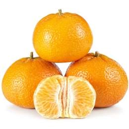  Mandarin Delite Seedless  Each