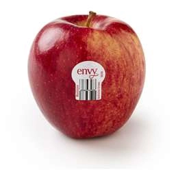 Envy Apple  Each