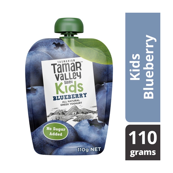 Tamar Valley Kids Greek TAMAR VALLEY KIDS GREEK POUCH YOGHURT 110G:BLUEBERRY 