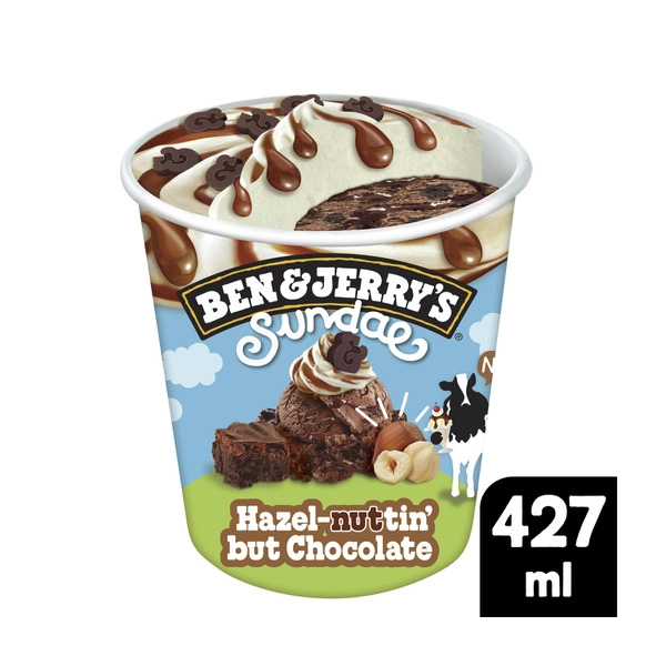 Ben & Jerrys Ice Cream Hazelnut In Chocolate Sundae 427mL